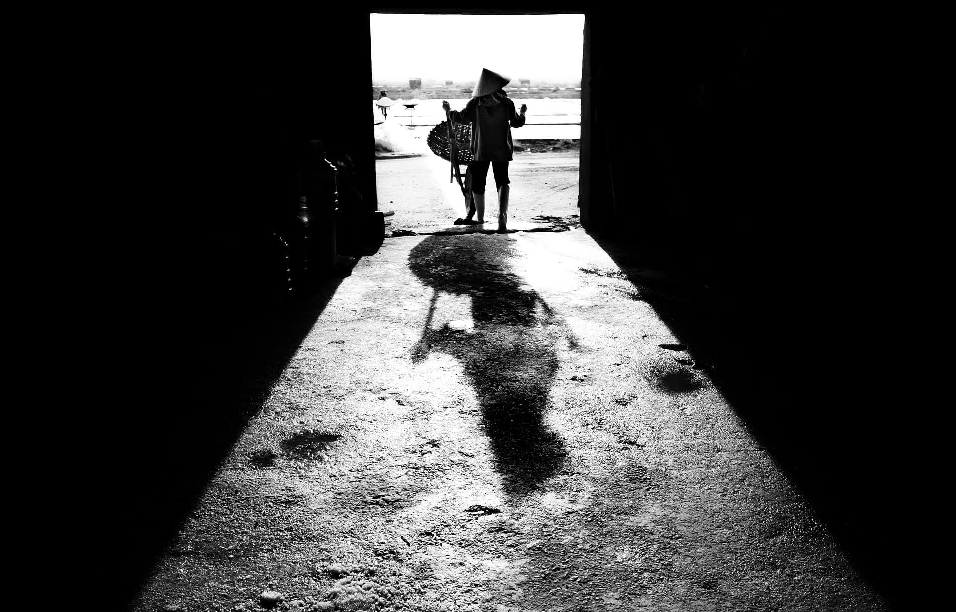 Jung shadow work career